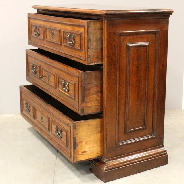 17th Century Italian Cantarano Chest of Drawers in Walnut For Sale - Image 5 of 13