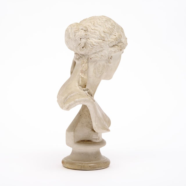 French Venus of Arles sculpture made of stucco. This bust is a reproduction of the 1st century BCE marble sculpture of...