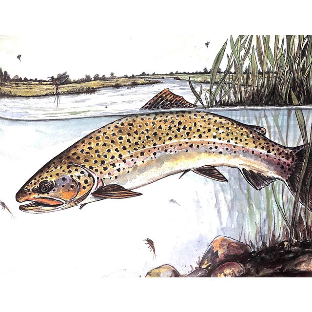 White "In Praise of Trout" 1989 Profumo, David, Robinson, Alan For Sale - Image 8 of 8