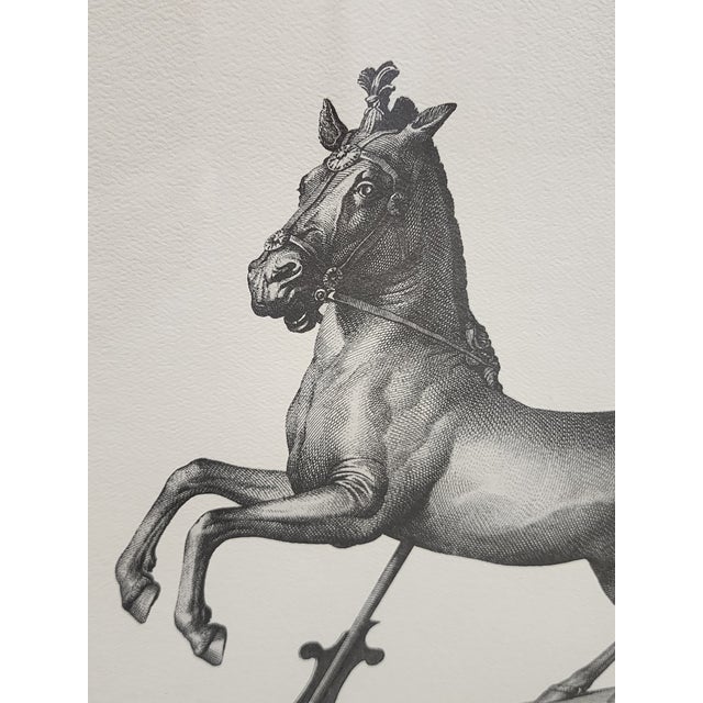 Textile Vintage Carlo Noli Equestrian Etchings Framed Prints - A Pair For Sale - Image 7 of 12