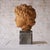 French Early 19th Century French Terracotta Bust With Marble Base For Sale - Image 3 of 4