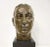 Mid 20th Century Mid Century Male Bust Cast Plaster Sculpture in the Style of Bronze For Sale - Image 5 of 11