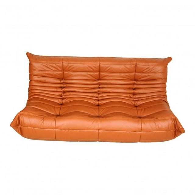 Togo 3-Seater Sofa in Cognac Classic Leather by Michel Ducaroy for Ligne Roset, 1970s For Sale - Image 3 of 7