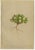 Late 19th Century Alpine Botanical Plates of Aretia & Douglasia, 1897, Set of 5 For Sale - Image 5 of 9