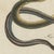 Bertuch, Four Snakes in Colourful Coils, 1805, Print For Sale - Image 6 of 12