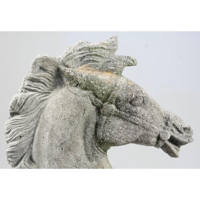 1960s Immense Vintage Cast Cement, Concrete Horse Head Sculpture For Sale - Image 11 of 14