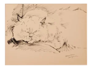 Marie Paulette Lagosse - the Cat - Original Pen on Paper - 1970s