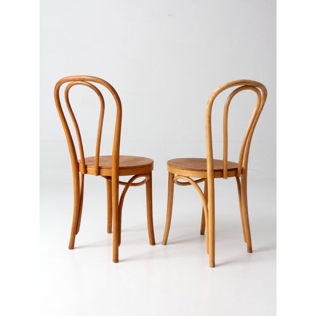 Brown Vintage ZPM Radomsko Bentwood Cafe Chairs Pair For Sale - Image 8 of 17