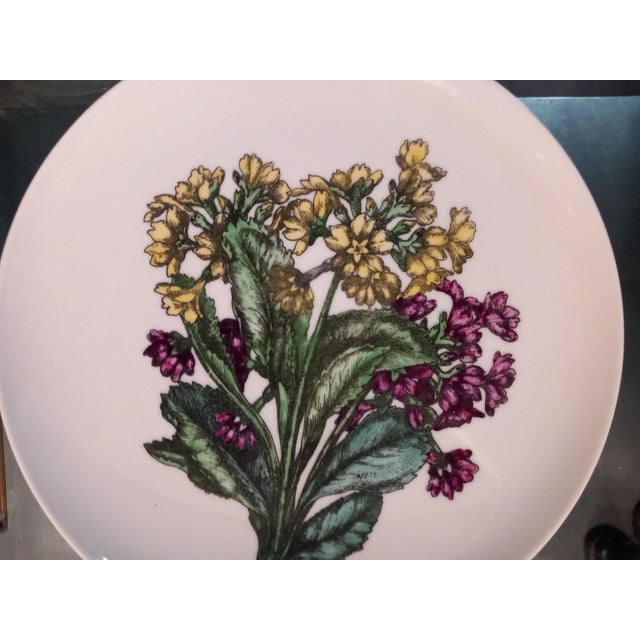 Ceramic Fornasetti Dishes by Piero Fornasetti, 1970s, Set of 6 For Sale - Image 7 of 18