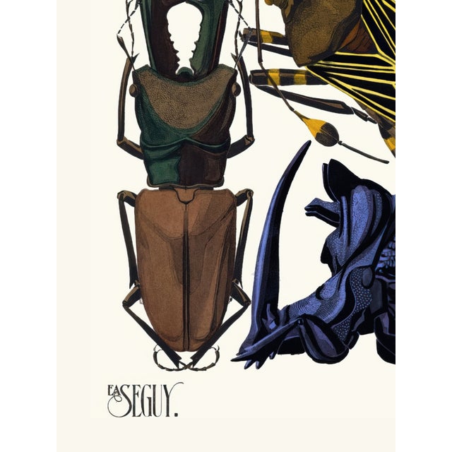 Insects Plate 07 by Emile-Allain Séguy, Vintage Art Print Reproduction, 18" × 24" For Sale - Image 4 of 6