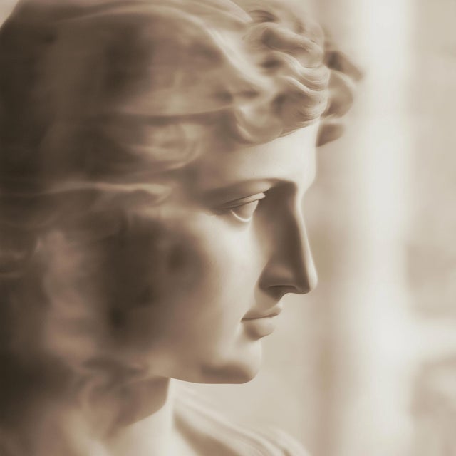 Set of 18 Blurred Antique Profiles — Archival Prints of Restored Antique Photographs For Sale - Image 14 of 17