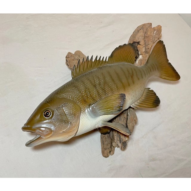 Vintage Handmade Eg Carved Wood Smallmouth Bass Wall Fish Mount Trophy Sculpture For Sale - Image 4 of 18