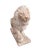 Unknown. Lion in Pink Portuguese Marble, 1890s, Marble For Sale - Image 4 of 4