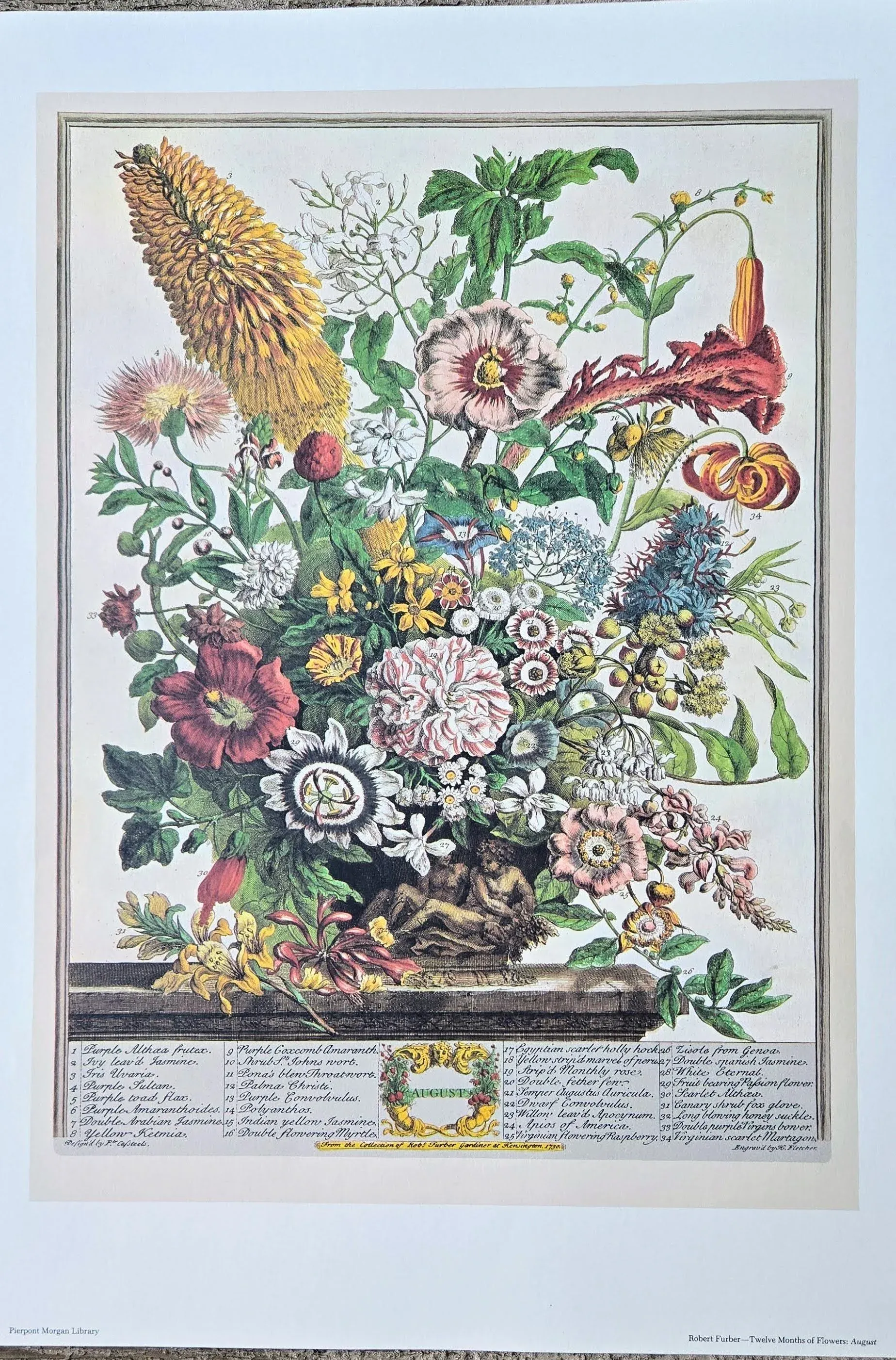 1980s Vintage Robert Furber August Botanical From 