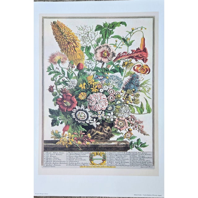 Illustration 1980s Vintage Robert Furber August Botanical From "Twelve Months of Flowers” Pierpont Morgan Library Print For Sale - Image 3 of 11