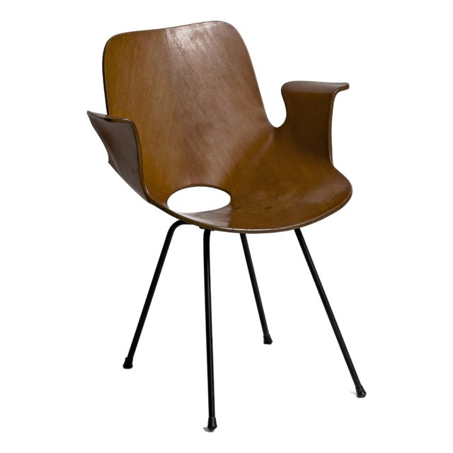 Vintage Bentwood Medea Chair by Vittorio Nobili for Fratelli Tagliabue, Italy, 1950s For Sale