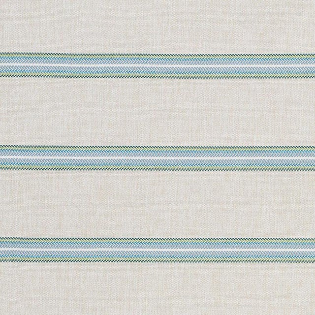 Sample - Schumacher Garden Stripe Indoor & Outdoor Fabric in Meadow For Sale
