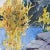 Vintage Signed California Sierra Nevada Watercolor Painting - Kings Canyon For Sale In Chicago - Image 6 of 13