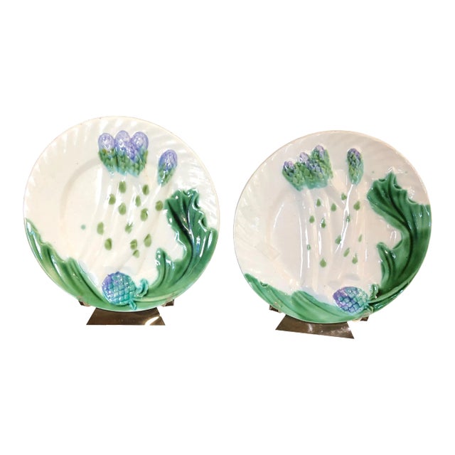 French Faience Salins Barbotine Majolica Plates - a Pair For Sale