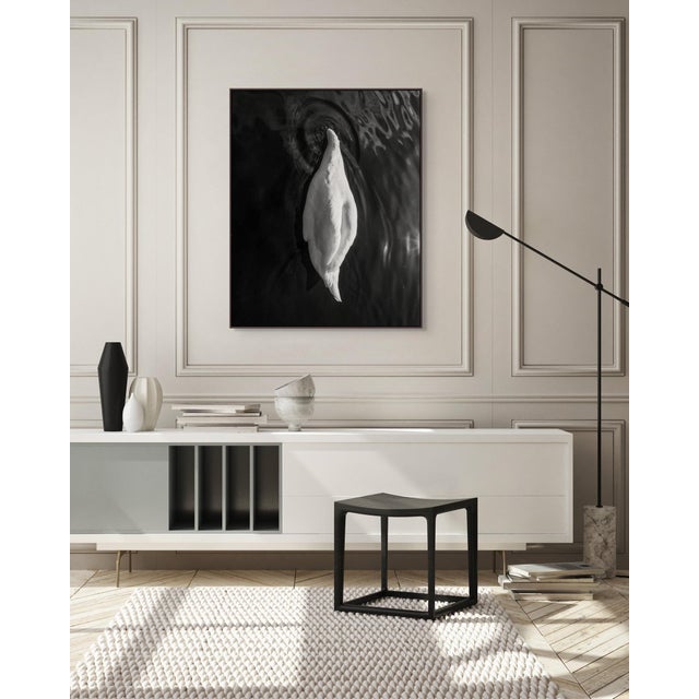 Exclusively available in the U.S. through ART AT HOME, Swan is a limited edition photograph by contemporary artist Joe...