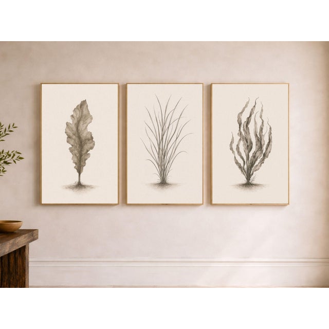 A curated minimalist coastal triptych featuring a single-frond botanical study, airy sea grass, and a softly flowing...