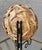 Wood Mid 20th-Century Polish Tatza-Influenced Plaited Weave Rattan Center Star Shallow “Bowl Basket” For Sale - Image 7 of 18