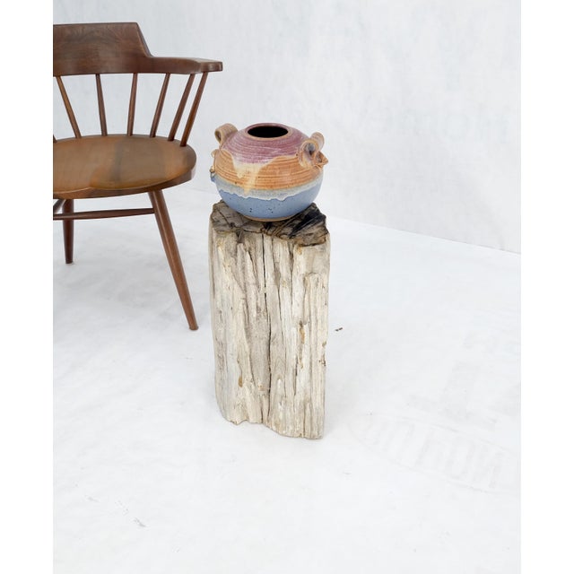 Large Beige Petrified Wood Organic Stomp Shape Stand End Side Table Pedestal For Sale - Image 9 of 10