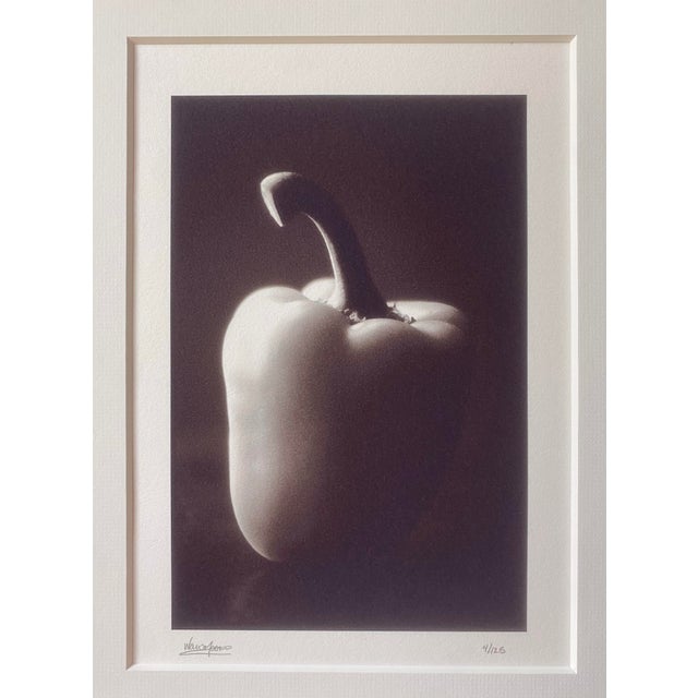 Wood Framed Signed Art Image Dramatic Bell Pepper For Sale - Image 7 of 12