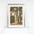 A. F. Nardi, Trees, Screen Print For Sale - Image 6 of 6