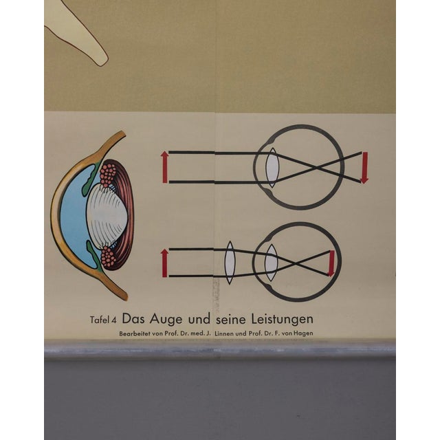 Wall poster for school use, printed on canvas paper, "The Eye and Its Functions", produced by Lehrmittelverlag Wilhelm...