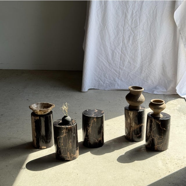 Contemporary Small Side Table in Black Petrified Wood with Beige Striations For Sale - Image 3 of 18