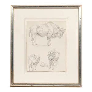 Early 20th Century Framed Pencil Sketch of a American Buffalo
