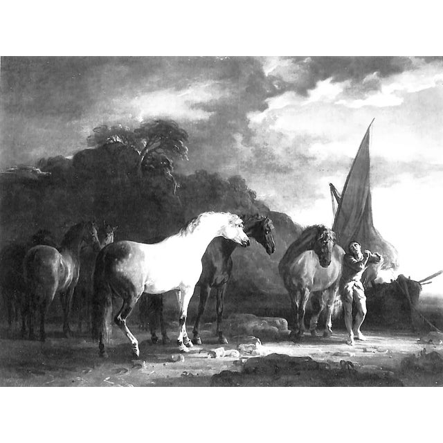 "Country Pursuits: British, American, and French Sporting Art" 2007 Cormack, Malcolm For Sale - Image 9 of 18