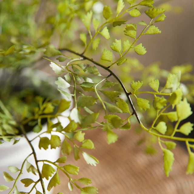Metal Maidenhair Drop-In 30" For Sale - Image 7 of 7