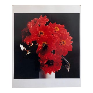 Peter C. Jones 1, Great Dahlias, Large Format Flowers Photo 24X20 Color Photograph Beach House, 2004 For Sale