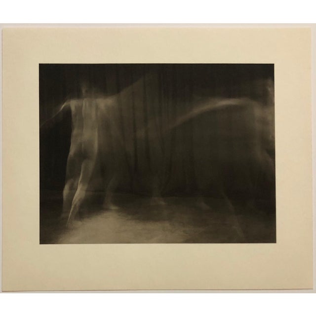 Printed by Muse X in Los Angeles. These are unsigned from a small edition. sepia-toned platinum palladium photographs on...