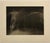 Printed by Muse X in Los Angeles. These are unsigned from a small edition. sepia-toned platinum palladium photographs on...