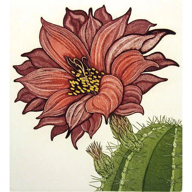 1981 Portfolio of Cactus Flower Etchings After Arnold Iger - Set of 5 For Sale - Image 4 of 13