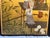 Early 20th Century Antique Japanese Hand Painted Panels a Pair For Sale - Image 5 of 12