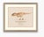 Atelier Aria Lumae Kai Hanna Van Wouden Giganotosaurus Carolinii Original Scientific Watercolor Fine Art Cotton Rag Gallery Board Print 20 X 16 For Sale - Image 10 of 15