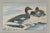 English 1930s Pair of Framed Antique Chromolithograph Duck Prints For Sale - Image 3 of 9