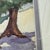 Original Watercolor Signed by Lorna Griggs, Cayman Islands Landscape For Sale - Image 4 of 11