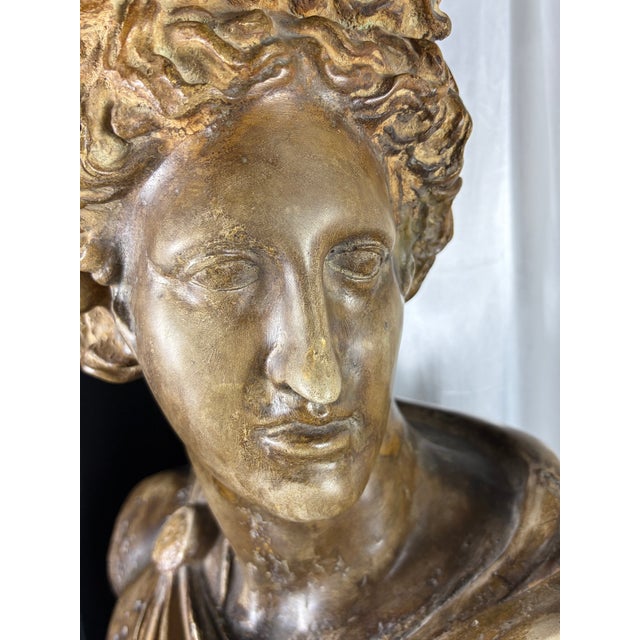 A striking and grand-scale mid-century Italian neoclassical chalkware/plaster bust depicting the Apollo Belvedere,...