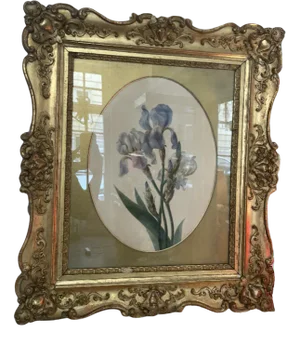 Emily Stackhouse, Schwertlilie, 1864, Watercolor on Paper, Framed