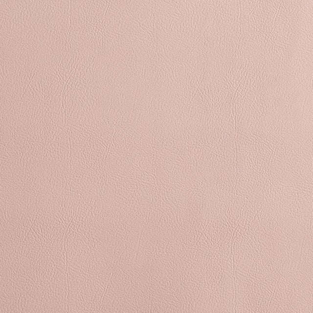 2020s Sample - Schumacher Vegan Leather Indoor/Outdoor Fabric In Petal For Sale - Image 5 of 5