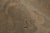 Textile Rug & Kilim’s Khotan Rug in an All Over Beige-Brown Floral Pattern For Sale - Image 7 of 8