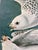 1964 Audubon Folio Lithograph Great Bird Paintings – “Iceland or Tee Falcon” 17x14 For Sale In New York - Image 6 of 7
