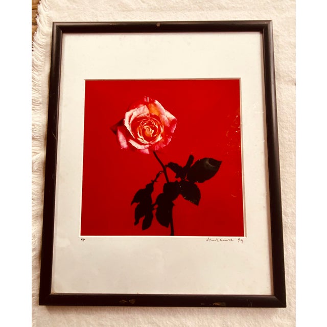 Francesco Scavullo "Rose" Photograph 1994 - Artist's Proof Botanical Still Life For Sale - Image 10 of 17