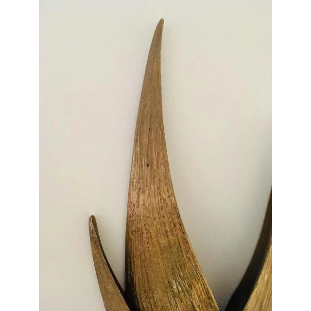 A French sculptural bronze Pointe a Pitre wall light designed by Chrystiane Charles, circa 1970s two light sources.