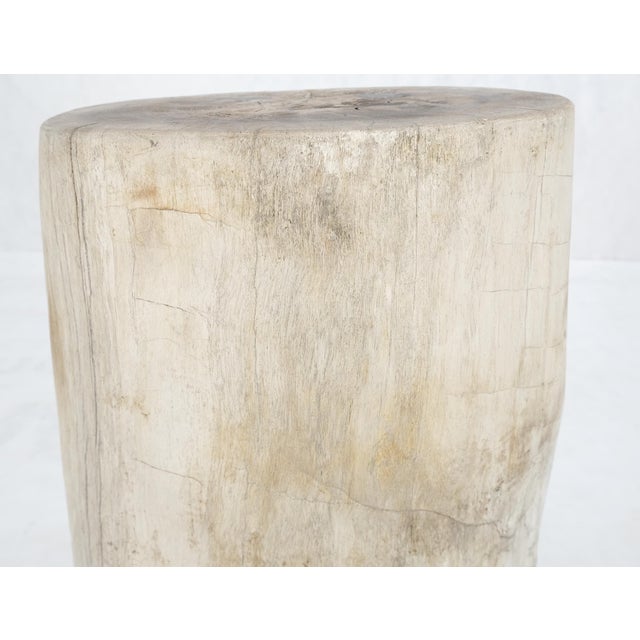 Early 21st Century Large Beige Petrified Wood Organic Stomp Shape Stand End Side Table Pedestal For Sale - Image 5 of 9